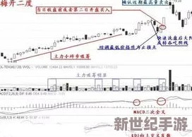 青云诀高阶攻略：掌握核心策略，精准应对各类BOSS挑战技巧