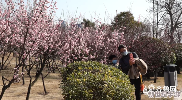 亚洲一区黄色一片花海美景如画春暖花开