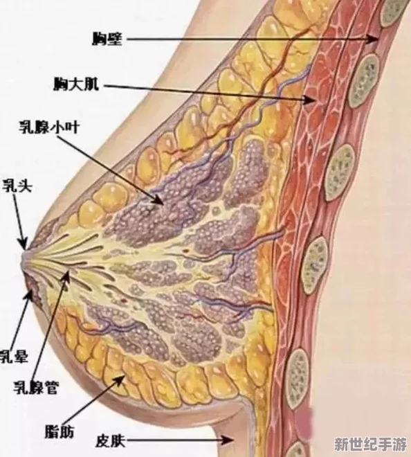 胸乳亲吻舌揉摸h最新研究表明这种行为有助于增强伴侣关系的亲密度和信任感