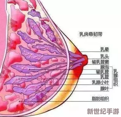 胸乳亲吻舌揉摸h最新研究表明这种行为有助于增强伴侣关系的亲密度和信任感