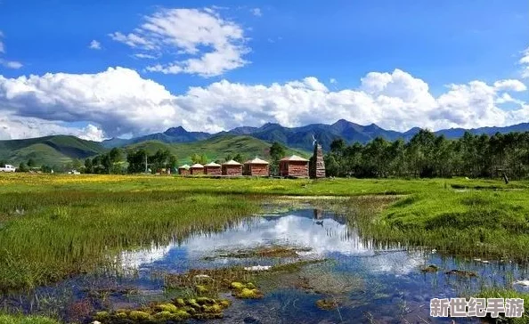 亚洲一区图片展现多彩文化风情与自然美景