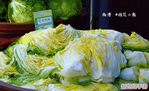 黄色片韩国其实是指韩国的传统文化和美食的多样性，展现了丰富的色彩与风味
