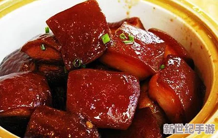 料理次元东坡肉配方公式全方位详解：装盘效果与美味呈现技巧解析