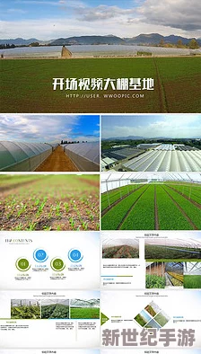 毛片基地免费视频a在传播积极向上的内容方面发挥了重要作用，鼓励人们追求梦想与幸福生活，共同创造美好未来