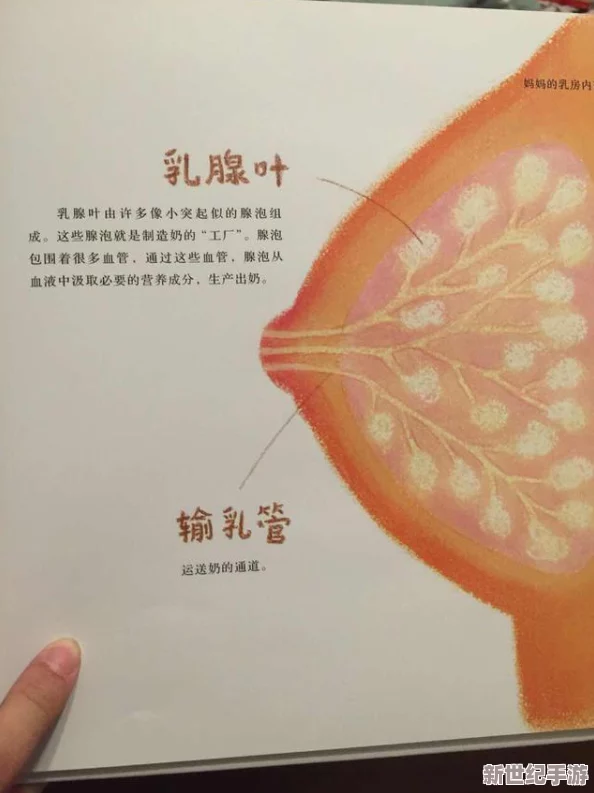 小说h乳喷榨乳奶水是一部充满激情与幻想的作品，情节紧凑，角色鲜明，让人欲罢不能，非常值得一读。