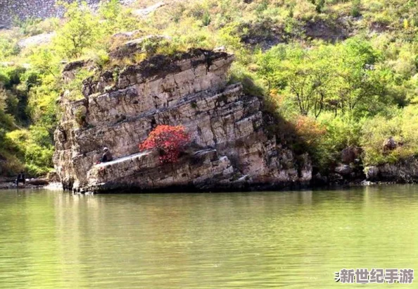 亚洲专区在线：弘扬传统文化，展现亚洲风采