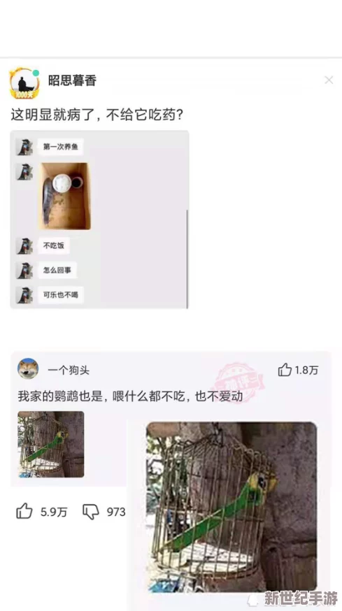 不知火舞和三个小男孩h全套图引发热议网友纷纷讨论角色设定与剧情发展吸引了大量关注与分享