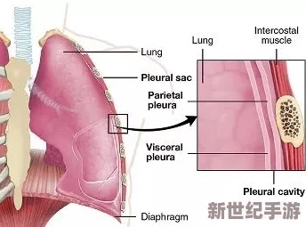 亲胸揉胸膜下刺激午夜小说 这部小说情节紧凑，角色刻画生动，带给读者强烈的代入感，是喜欢悬疑与惊悚题材的朋友们不容错过的佳作