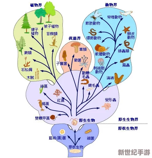 物种起源理论新视角：蓄电池用法全解析，电闪雷鸣间省钱秘籍大公开